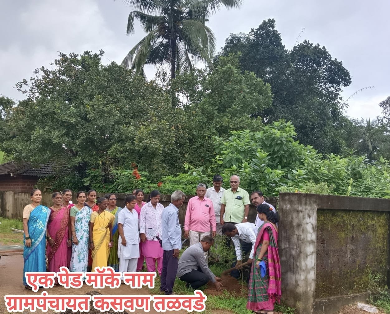 वृक्षारोपण